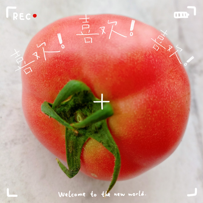 鲜火蔬菜
