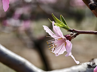 春日美好，踏青正当时！