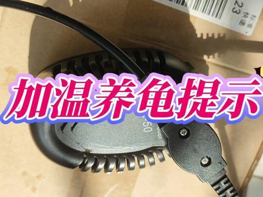 冬季加温养龟，如何预防加热棒加温煮龟？