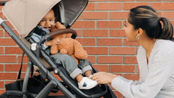 婴幼儿小朋友 篇九：分享一款很高级的婴儿推车——UPPAbaby VISTA V2婴儿可折叠推车