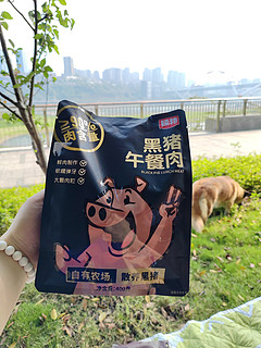 和小狗踏青，当然要带臻邦黑猪午餐肉，90%的含肉量，爽！