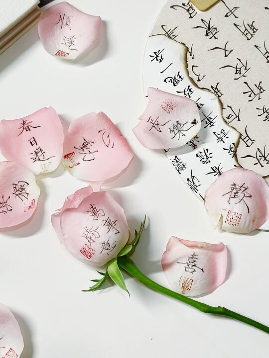 “纸上花朵，信中月亮。”