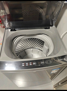 小天鹅（LittleSwan）波轮洗衣机全自动 10公斤大容