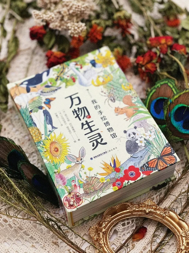 惊艳❗️真希望一生也能有机会画出这样一本书