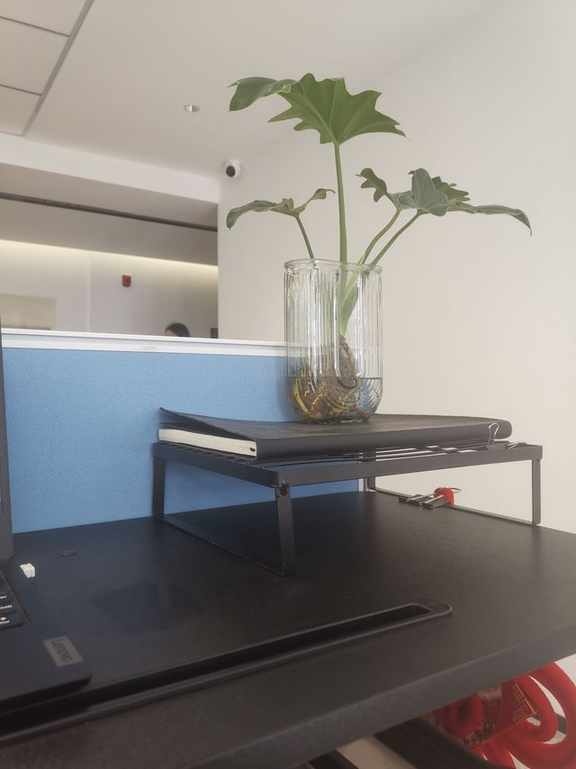 便宜货当然有性价比