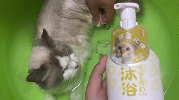 抗菌止痒的猫咪沐浴露