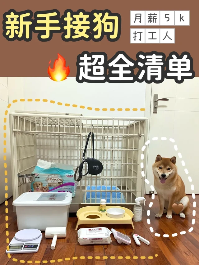 柴犬｜月薪5k打工人接狗清单