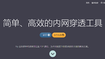 内网穿透 篇三：通过 frp 内网穿透 实现公网访问内网服务