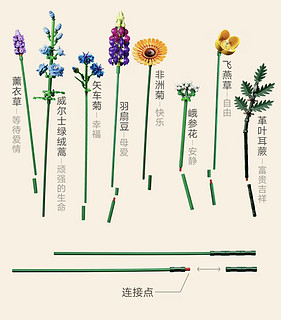 乐高积木10313繁花18岁+玩具，给宝宝的成长加个“限定版”标签🏷️