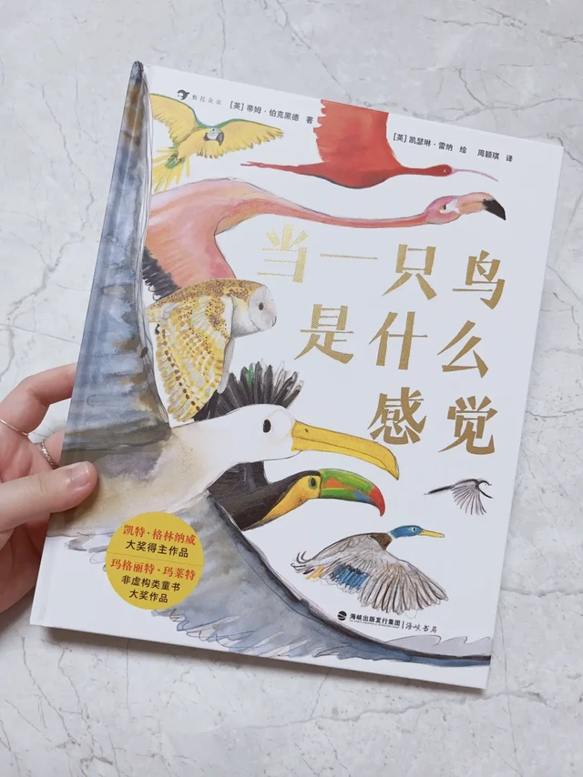 绘本 | 你想做一只鸟么？