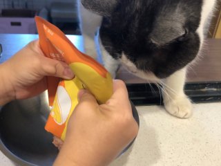 肉肉大方主食猫饭，就爱吃WoWo喔喔～