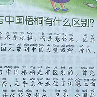 十万个为什么之法国梧桐与中国梧桐有什么区别?