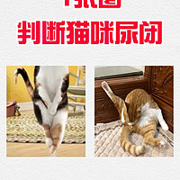 1张图判断猫咪尿闭❗在家就能解决