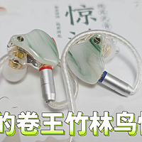 竹林鸟惊鸿，169的HiFi耳机，性价比不错！