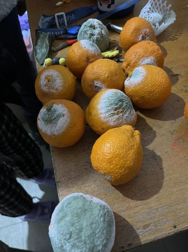 尾货不要买