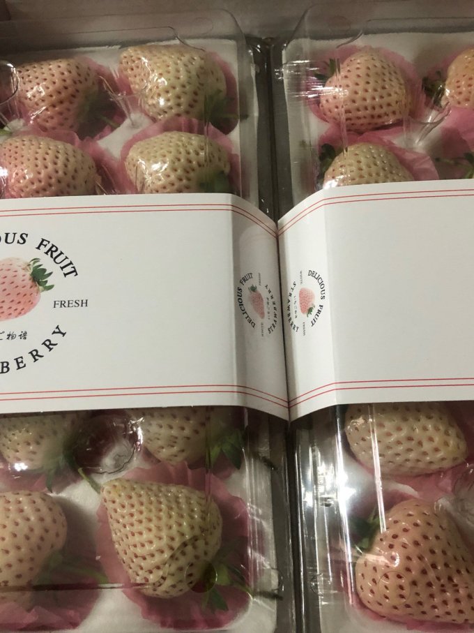 冰茜草莓