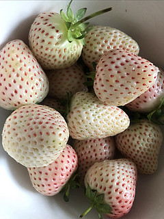 初尝淡雪草莓