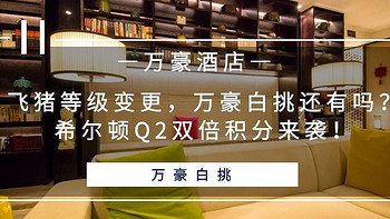 常旅客专家 篇一百二十七：飞猪等级变更，万豪白挑还有吗？希尔顿Q2双倍积分来袭！