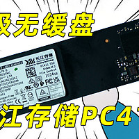 顶级国产无缓OEM固态 长江存储PC411 1TB评测