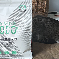 最近，铲屎君深深迷恋6.8元一袋小宠益生菌猫砂