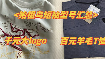 始祖鸟又出新色系短袖T恤，大logo的型号以及6折价