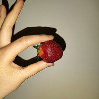 春天是吃草莓的季节，快来安排安排上