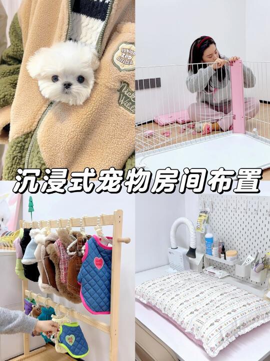 狗狗房间布置｜我有新小狗啦❗️2只狗狗的小屋
