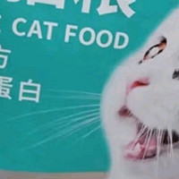 这款猫粮让猫咪更健康！