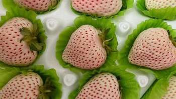 明星都在吃的淡雪草莓，究竟是什么味道？