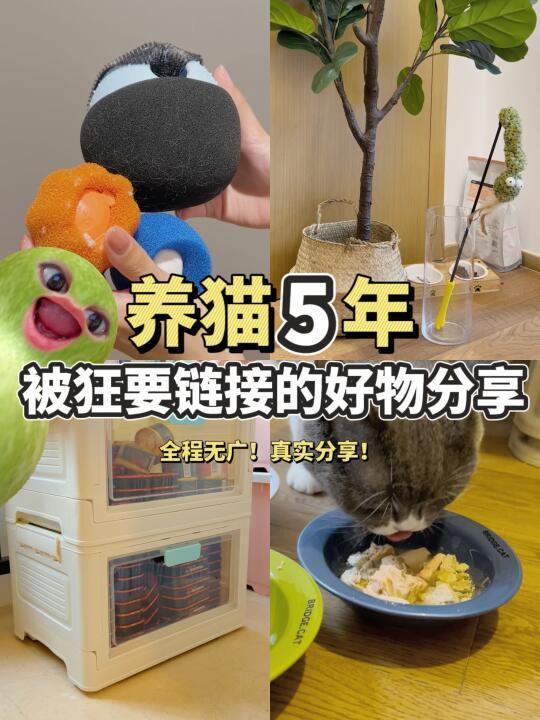 养猫好物分享丨那些被狂要链接的宝藏