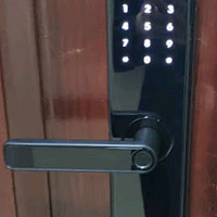 德施曼（DESMAN）指纹锁智能门锁 电子锁家用防盗门锁密码锁APP智联C级锁芯 V7
