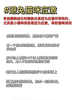 猫咪膀胱结石反反复复怎么办丨做好3件事情