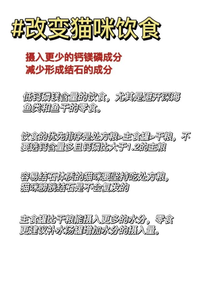 东方澳龙猫粮