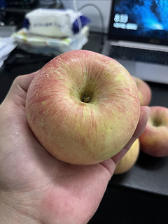 种树 种了一箱苹果