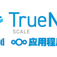 truenas 篇九：Truenas Scale 23.10应用程序教程（nextcloud+onlyoffice）