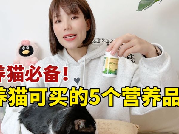 养猫如果非要买营养品，这5个可以买！