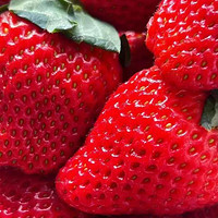 探寻草莓的多样品种，尽享美味
