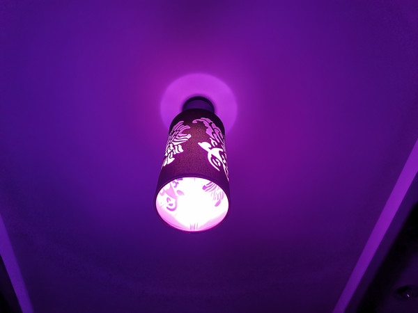 Yeelight智能LED彩色灯泡，WIFI连接小爱音箱，亮度色温可调，彩光璀璨我的生活！