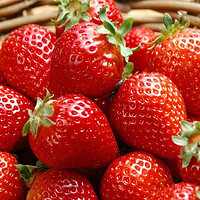 多吃草莓，营养更给力