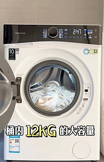 大洗衣机我是直接选的石头 H1 Neo洗烘