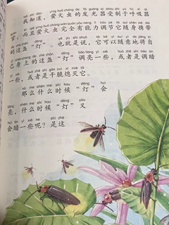 小昆虫大世界