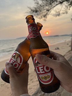 最爱的泰国啤酒品牌，可惜国内一直没好价