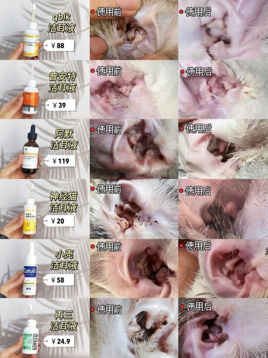 听句劝吧❗️猫咪洁耳液还是做功课的牛啊❗