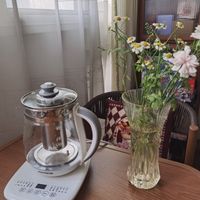 九阳养生壶