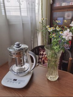 九阳养生壶