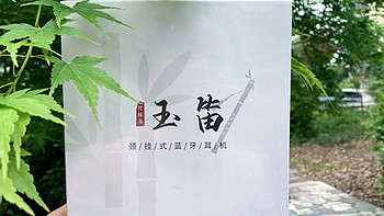 人间四月天，不负春光，不负音乐🎵！竹林鸟玉笛颈挂式蓝牙耳机，四月的“小确幸”来啦！