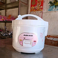 奥克斯（AUX）电饭煲 电饭锅 3L家用简易操作老式西施煲 小型电饭锅 3-4人 VK-301X8