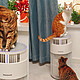 养猫家庭，怎能没有H-Cat猫猫搭子？必不可少的猫用空气净化器测评