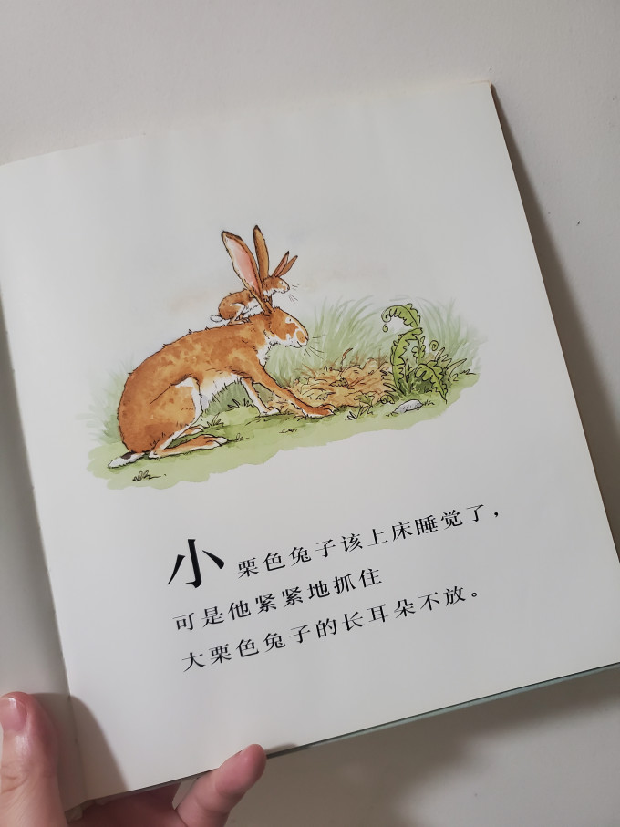 明天出版社绘本/图画书
