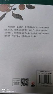 以个人叙事取代宏观叙事，读《长安的荔枝》